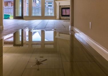 Flooded Home? Here’s What You Need to Know About Water Damage Restoration sidebar image
