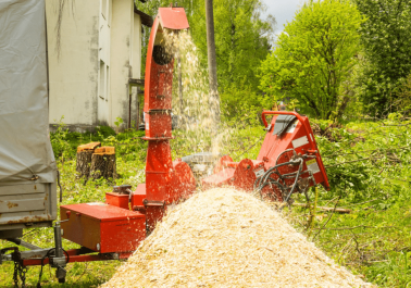 Stump Grinder Services in Vancouver, WA: Why Hire a Professional? sidebar image